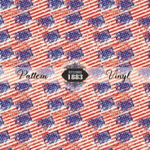 America1-Pattern Vinyl