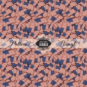 America2-Pattern Vinyl