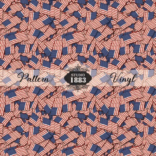 America2-Pattern Vinyl