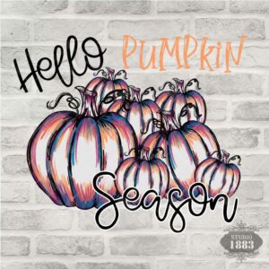 G166-Hello Pumpkin Season