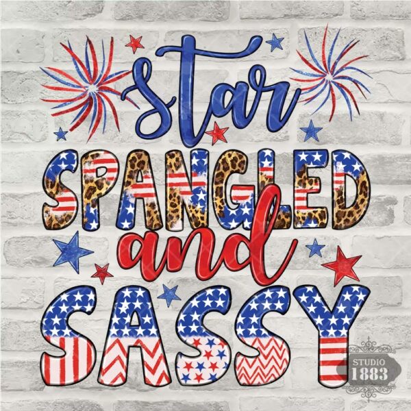 T144-Star Spangled and Sassy