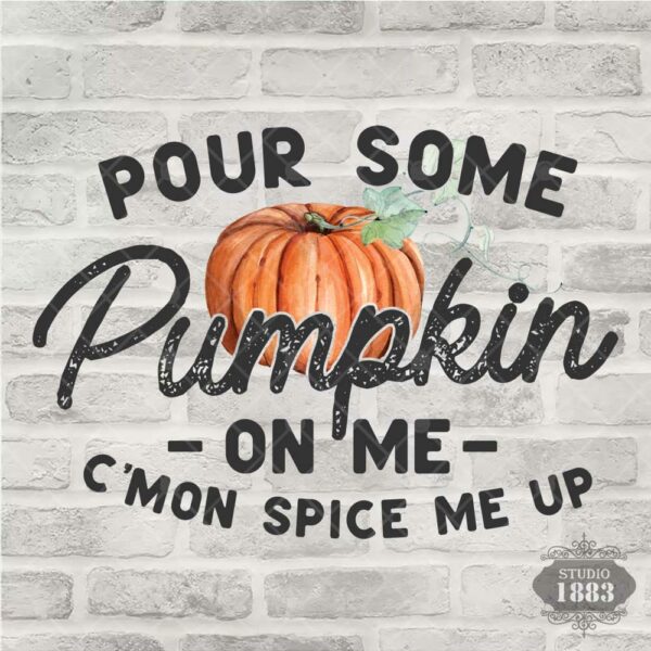T225- Pour some pumpkin