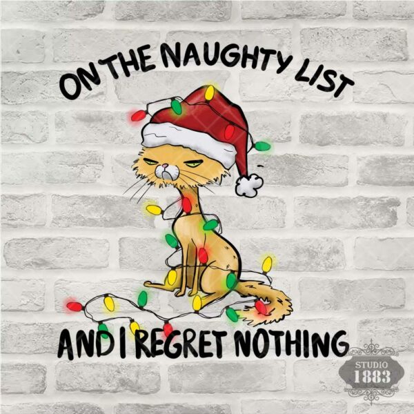 T265-On the Naughty List