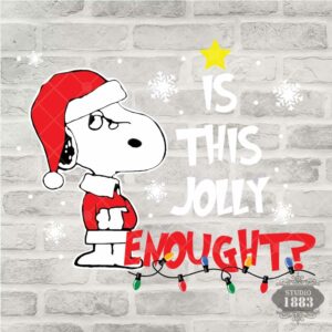 T278-Is This Jolly Enough