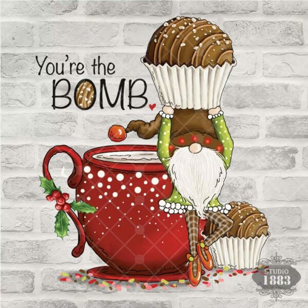 T294-You're the bomb