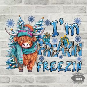 T323-Freakin Freezing