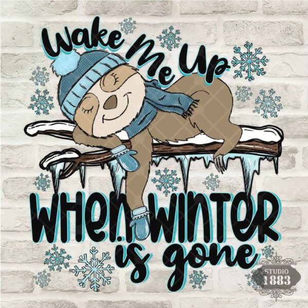 T329-Wake me when winter is gone