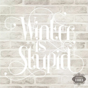 T331-Winter Is Stupid
