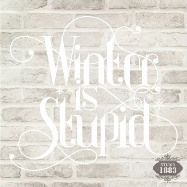 T331-Winter Is Stupid