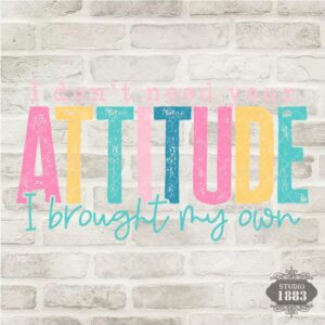 T334- I dont need your attitude