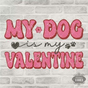 T360-My dog is my Valentine