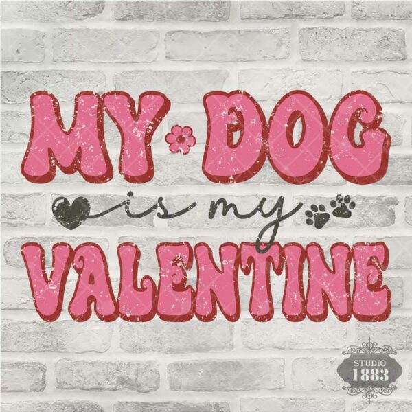 T360-My dog is my Valentine