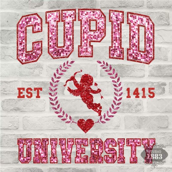T364- Cupid University