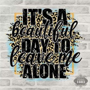 T39- Its a Beautiful Day
