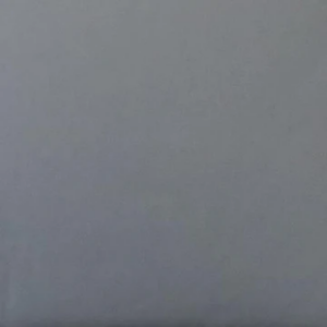 493-SILVER