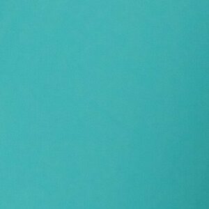 487-TIFF BLUE