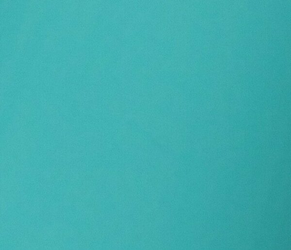 487-TIFF BLUE