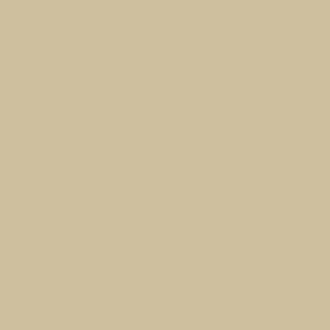 481-SAND
