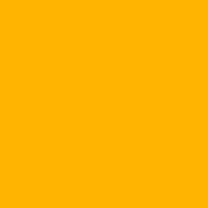 Yellow Easyweed