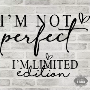 T402-Im not Perfect
