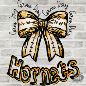 T510-Hornets bow