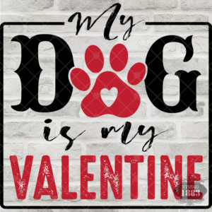 T597-My Dog Is My Valentine